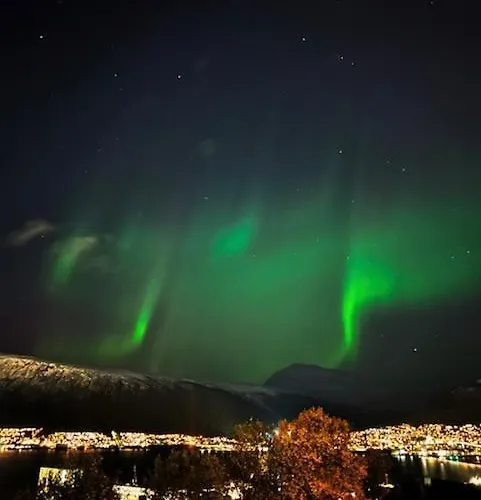 Apartment With A View